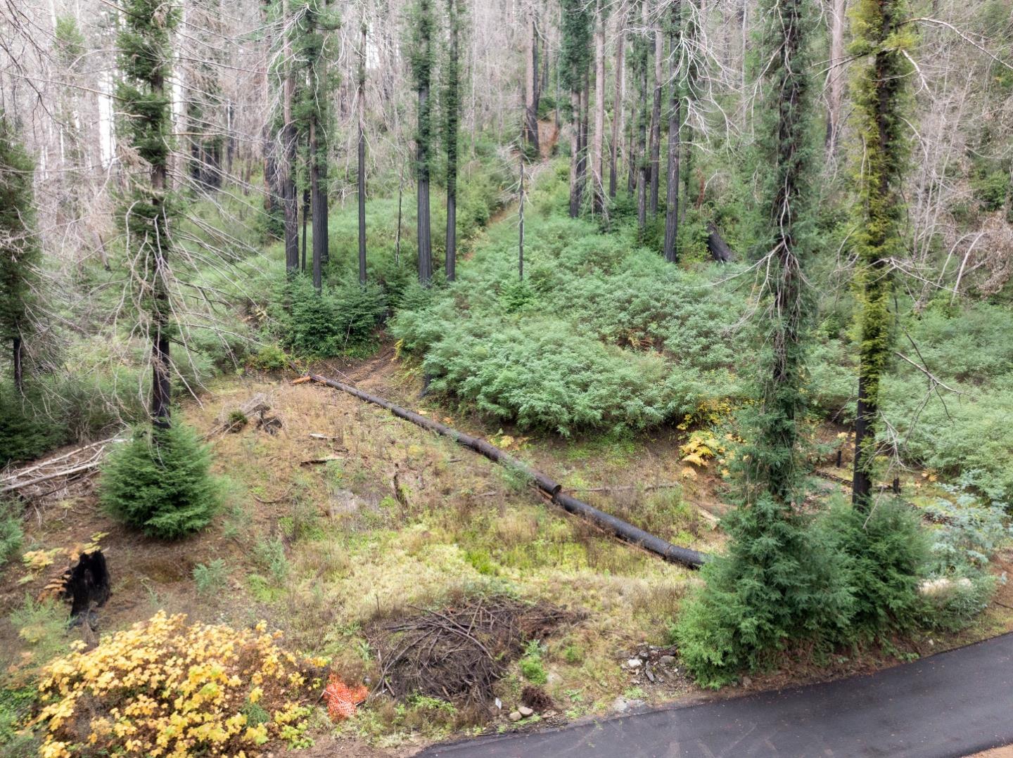 730 Boulder Brook DR