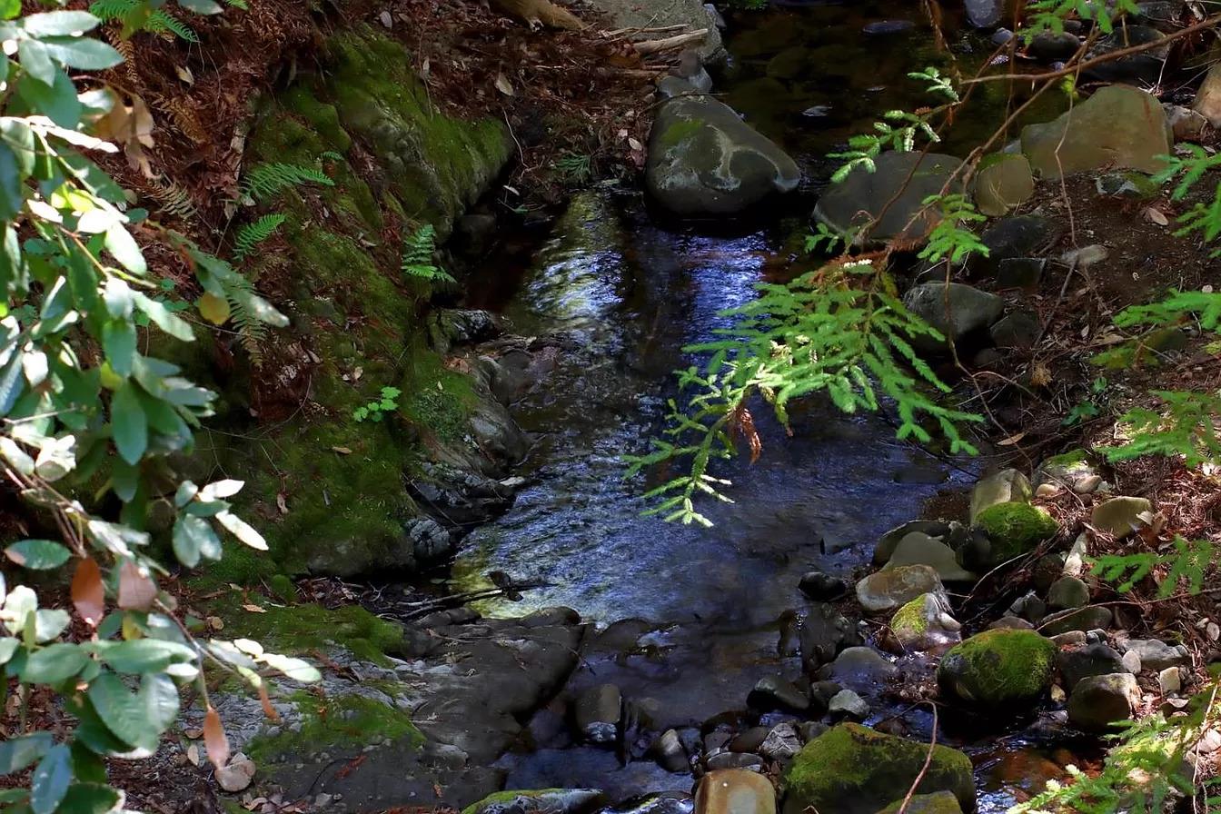 14315 Treehouse WAY
