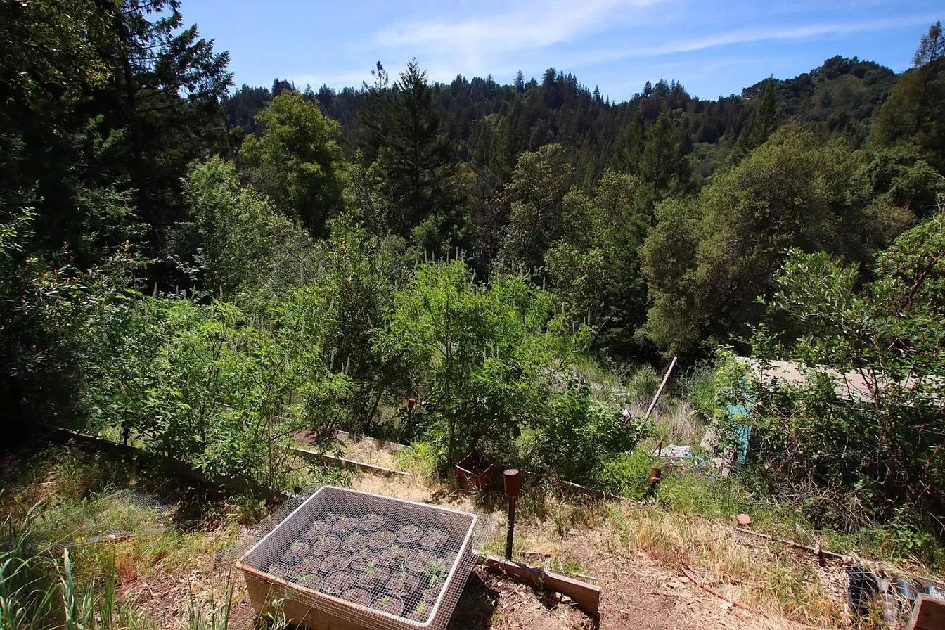 14315 Treehouse WAY