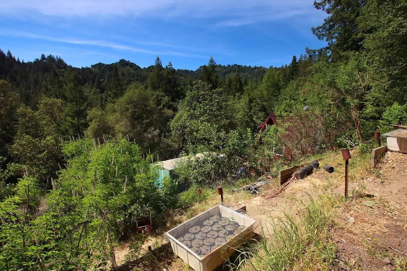 14315 Treehouse WAY