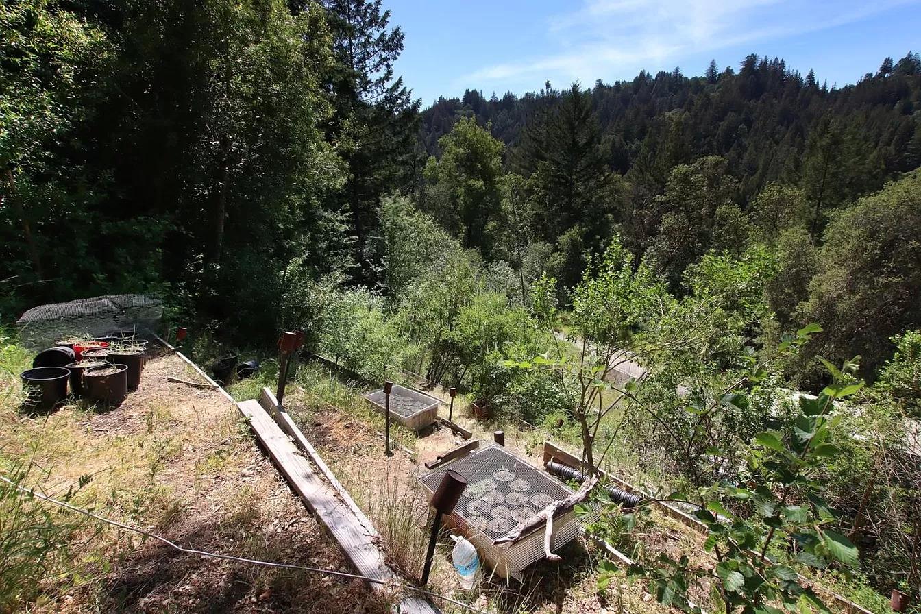 14315 Treehouse WAY