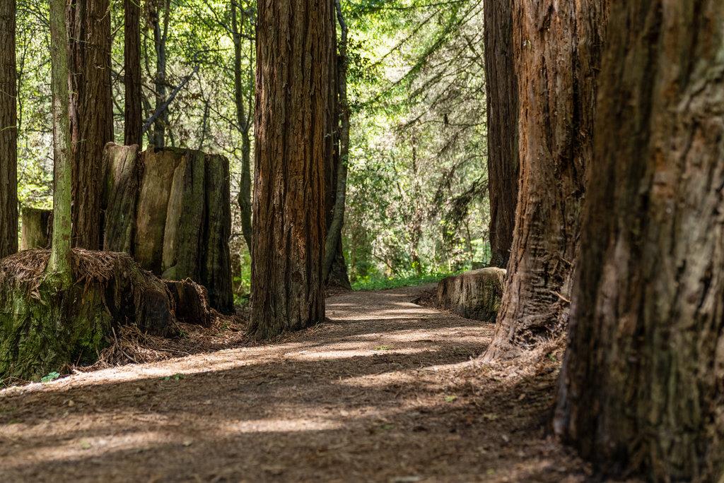 500 Valencia School Road