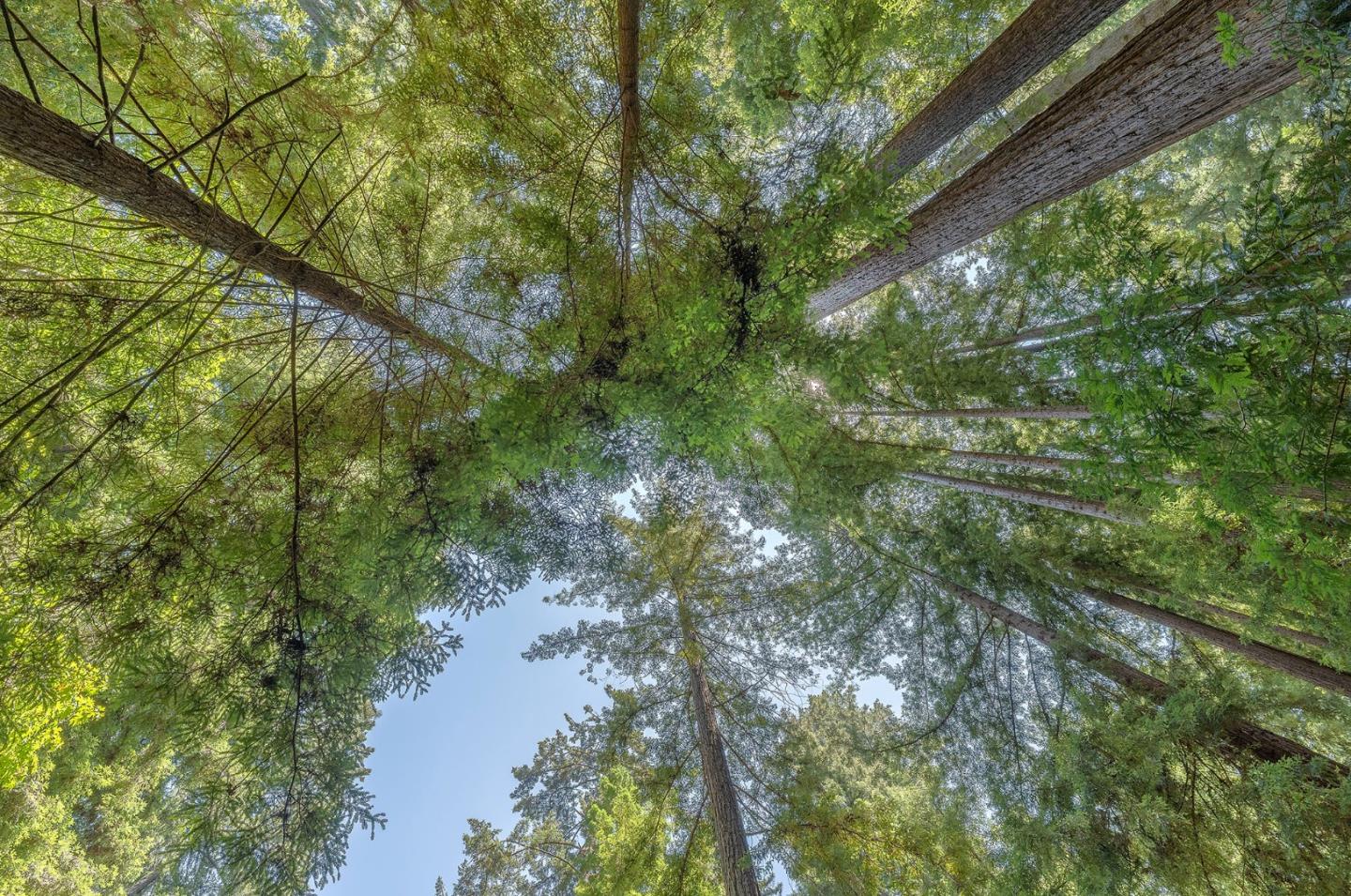 1022 Brookside Drive