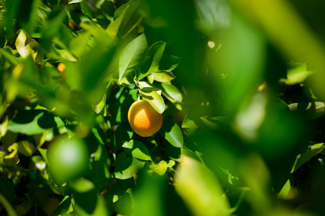 865 Valley View Road