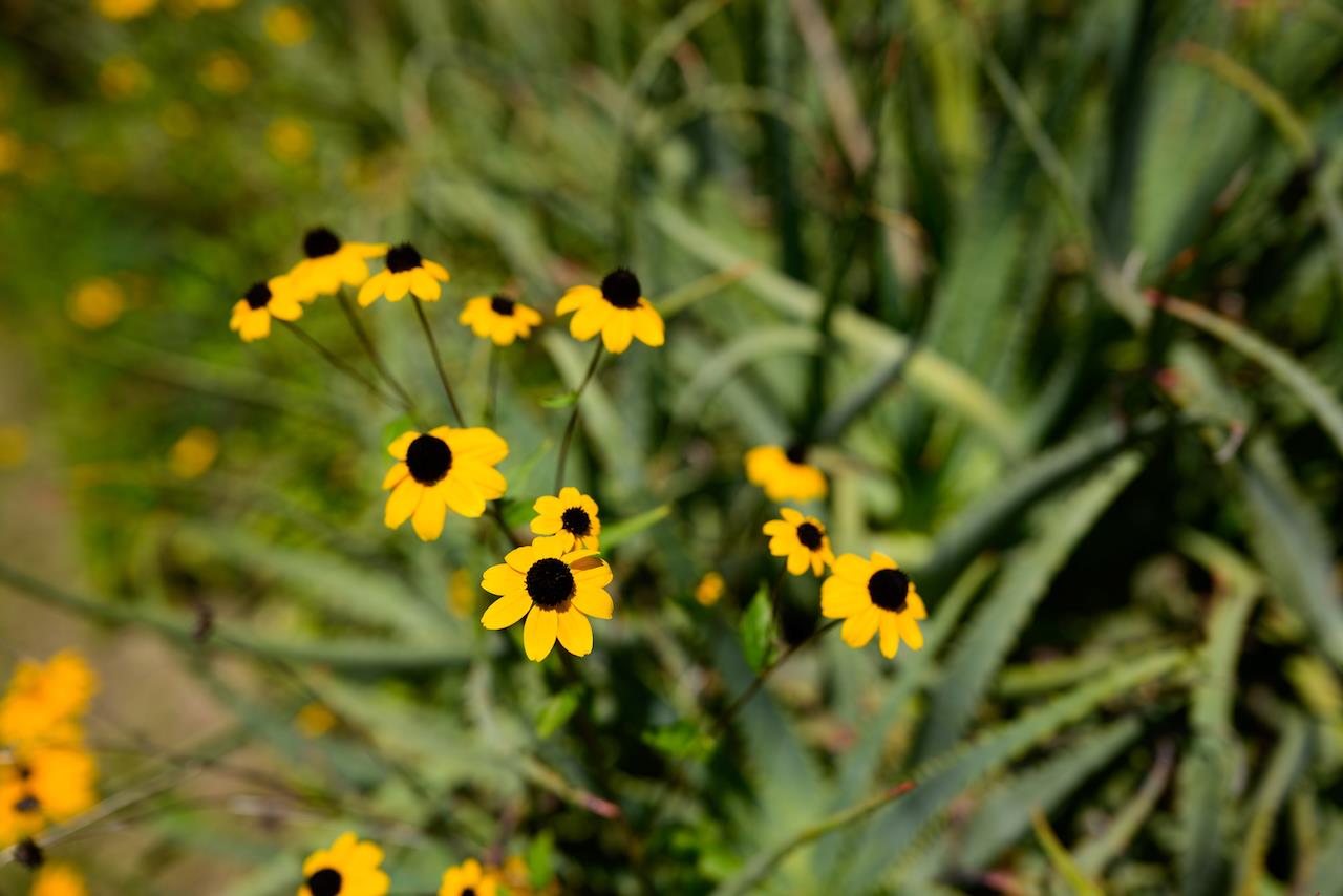 865 Valley View Road