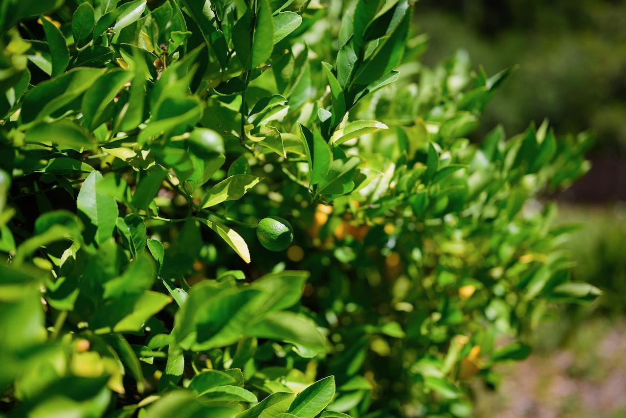 865 Valley View Road