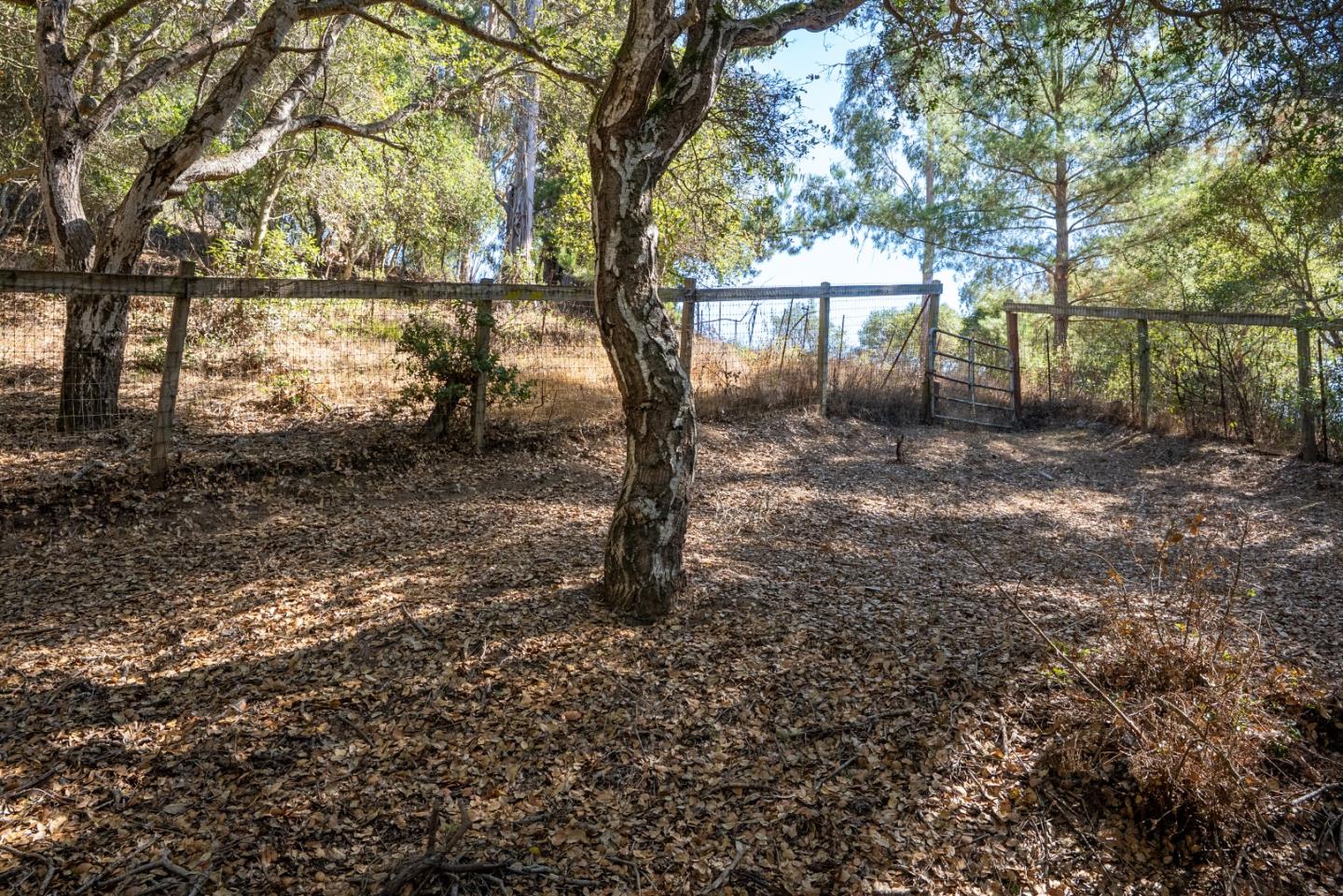 2471 Tuckahoe Terrace