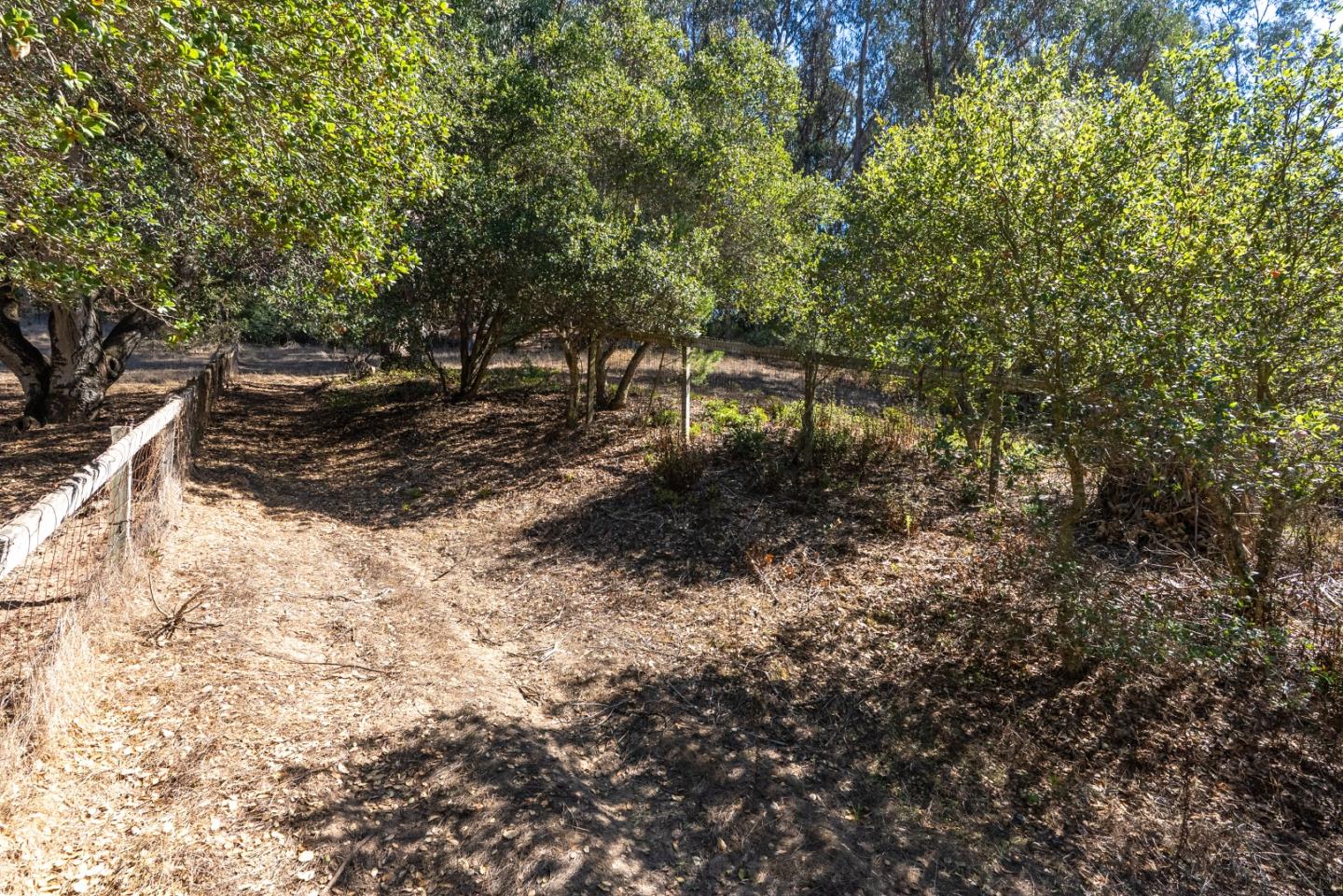 2471 Tuckahoe Terrace