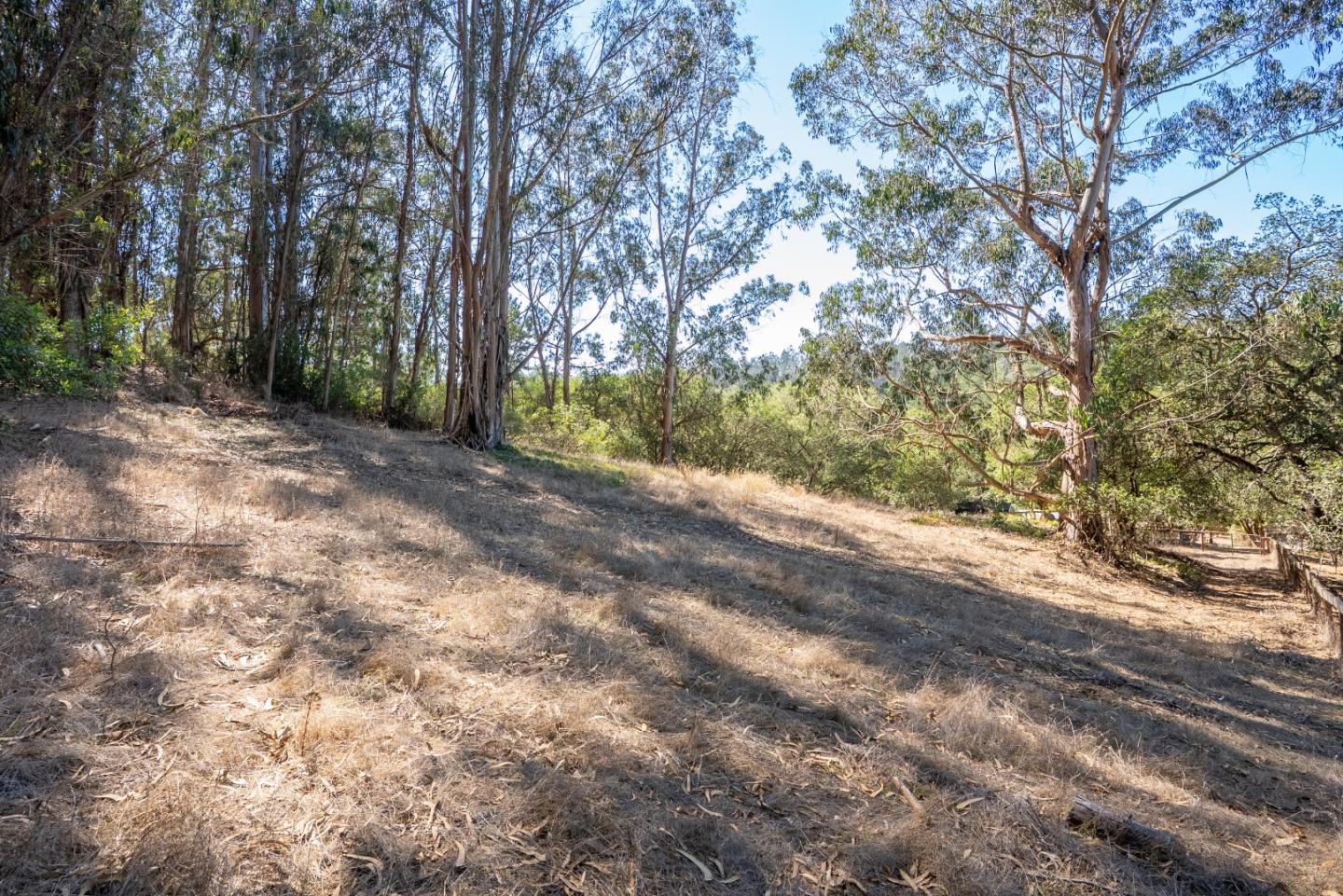 2471 Tuckahoe Terrace