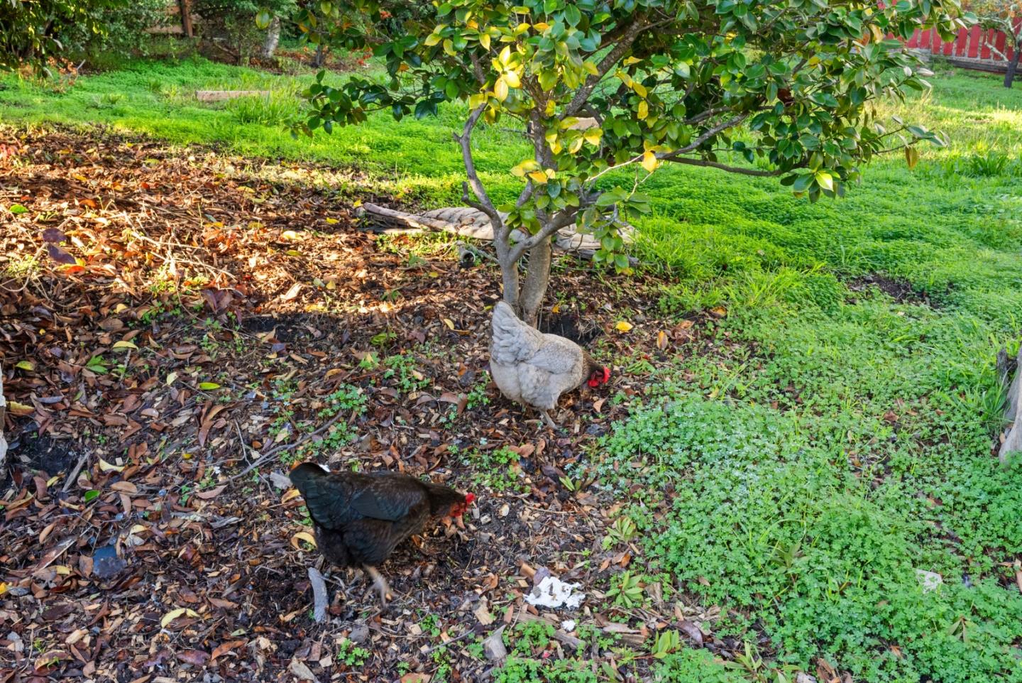 2301 Soquel San Jose Road