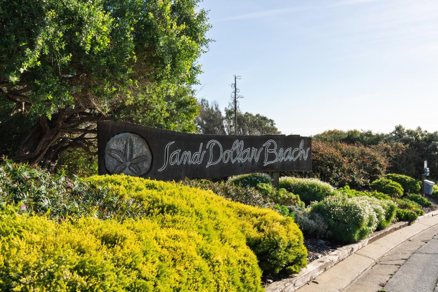 665 Sand Dollar Lane