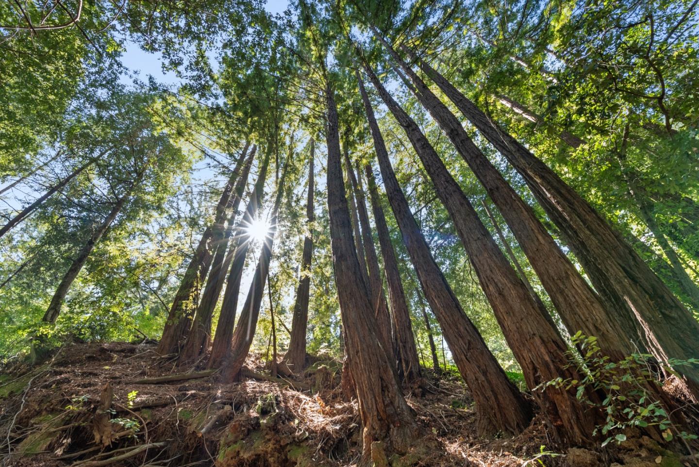 26650 Soquel San Jose Road