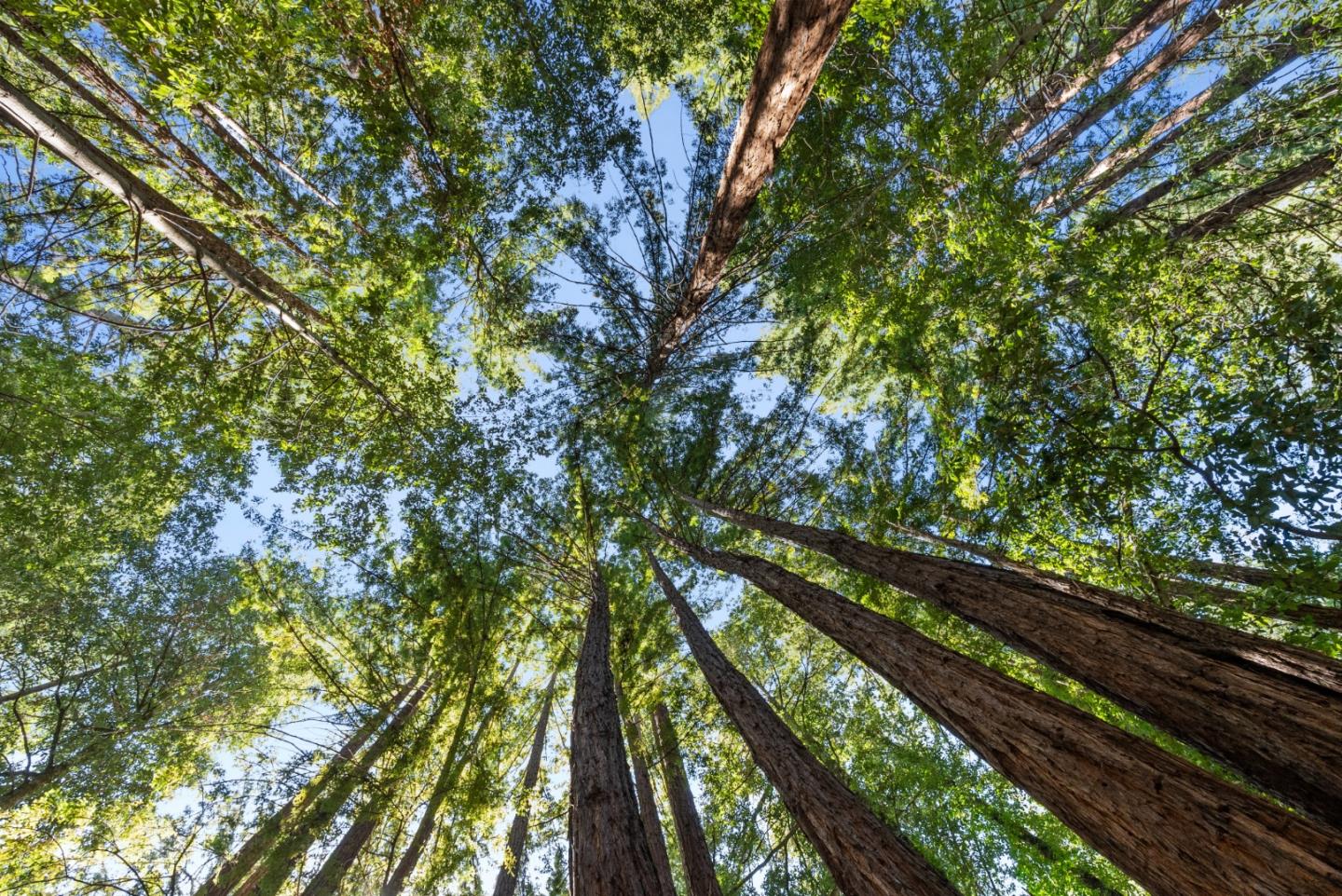 26650 Soquel San Jose Road