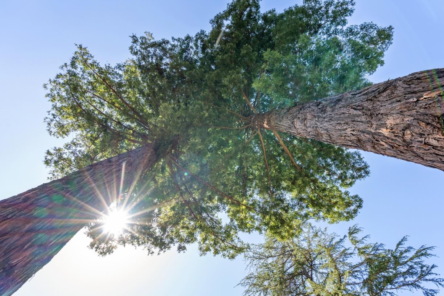 3498 Soquel San Jose Road