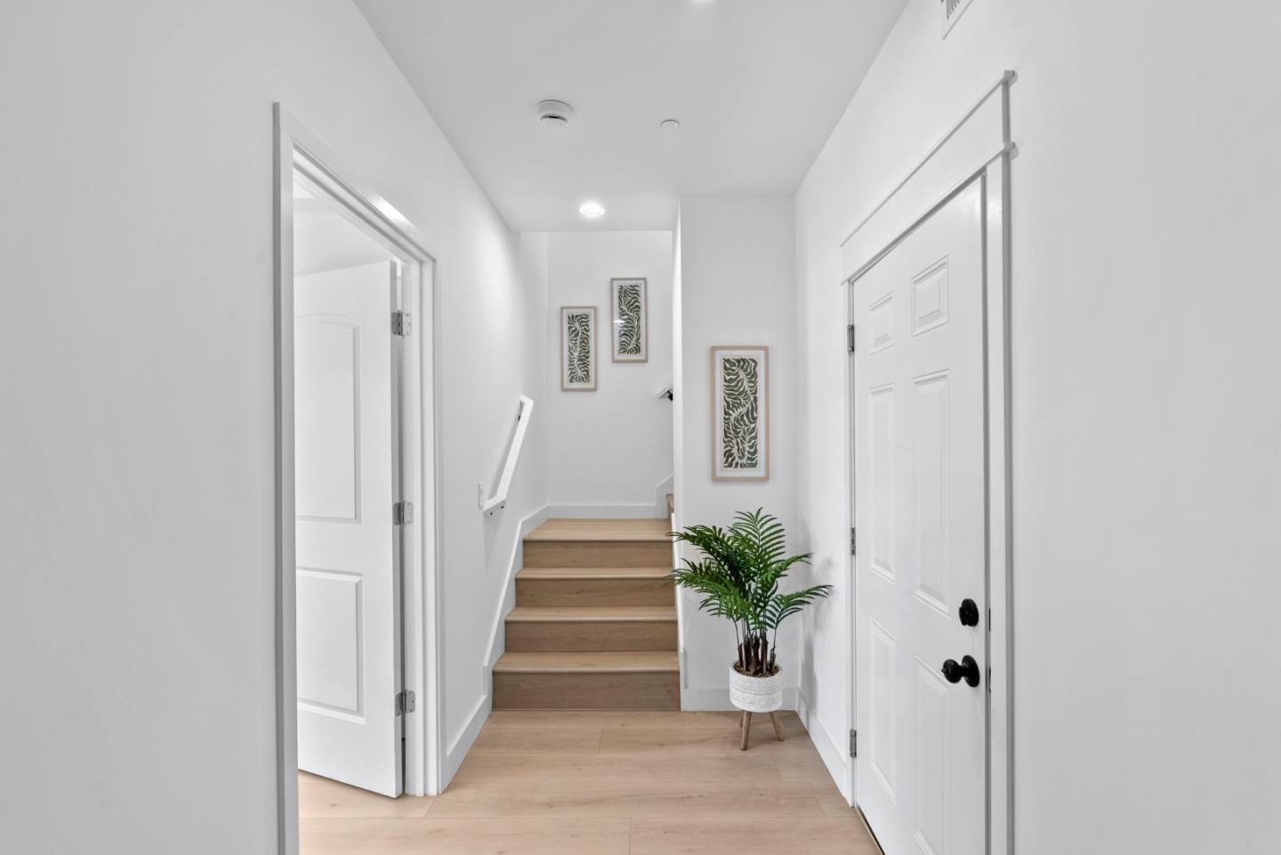 409 San Luis Avenue