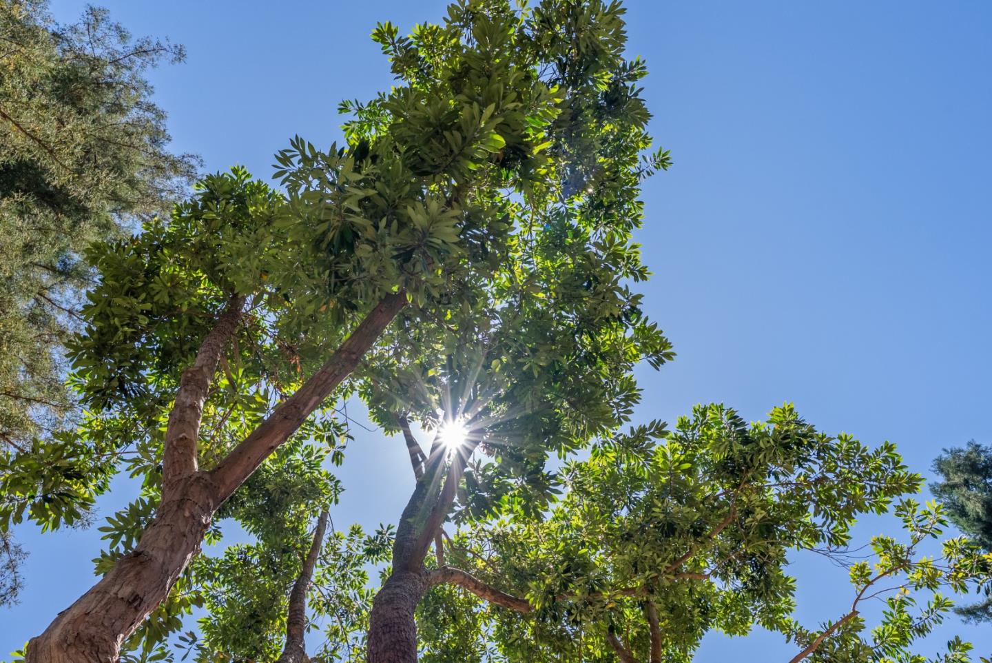 12670 East ST