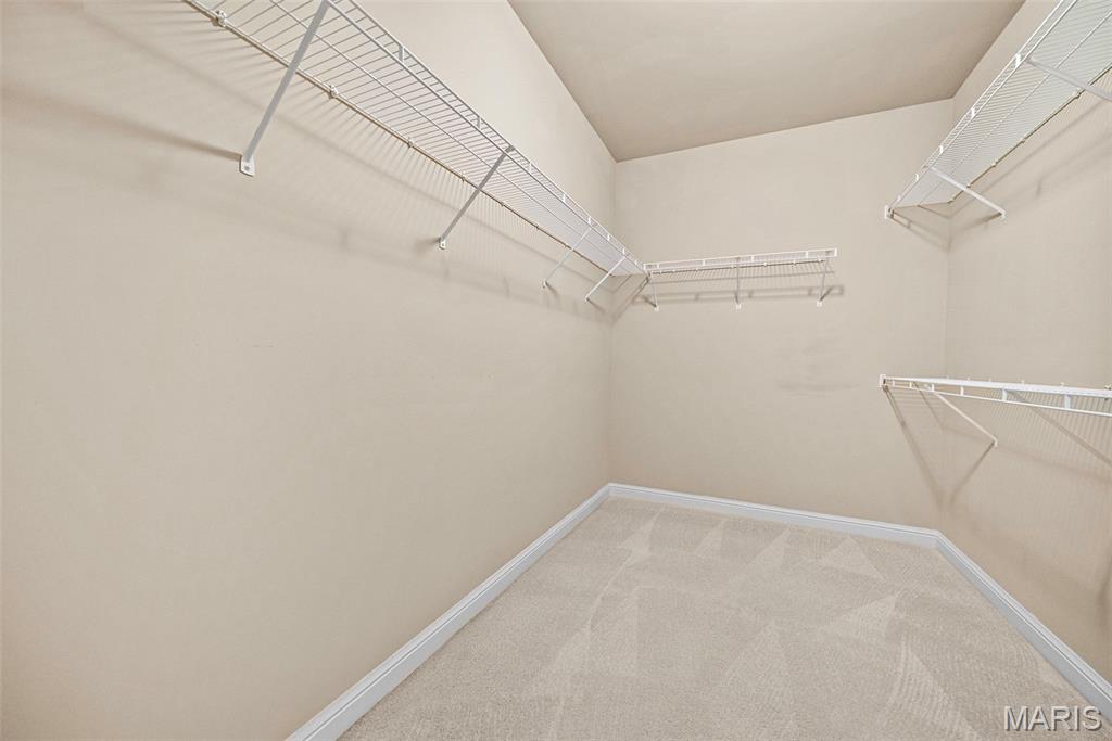 3003 Bear Ridge Drive