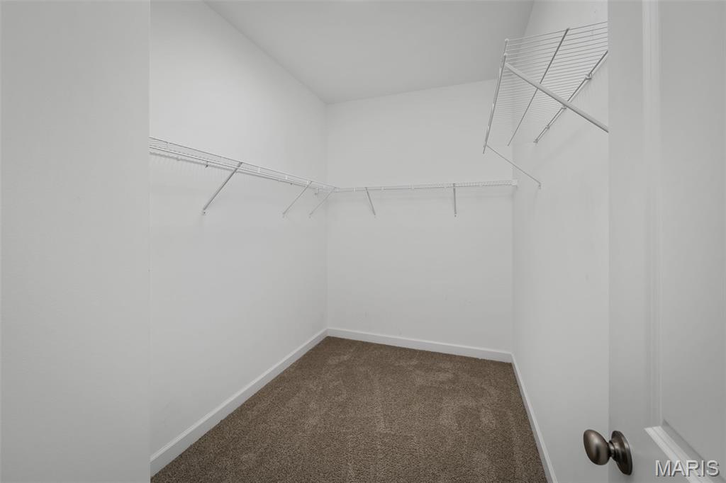 290 Shumard Oak Drive