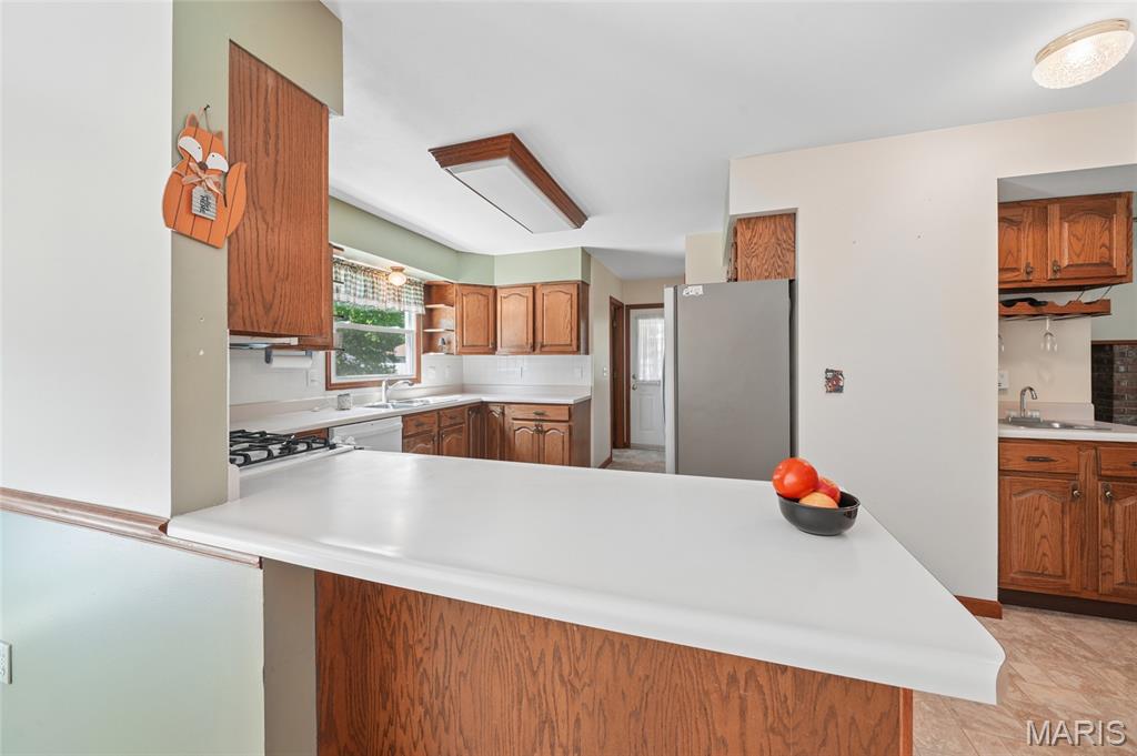 458 Fox Den Lane