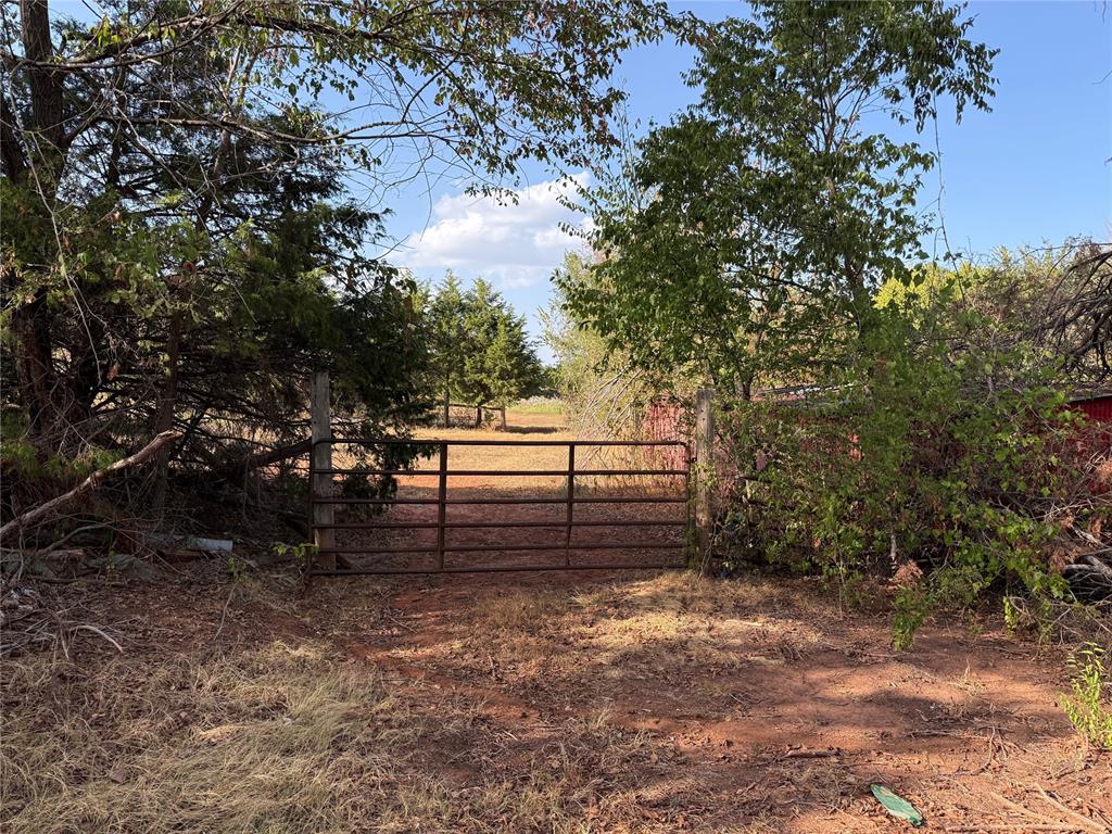 Wooded vacant lot entrance with a metal gate and a clearing beyond.