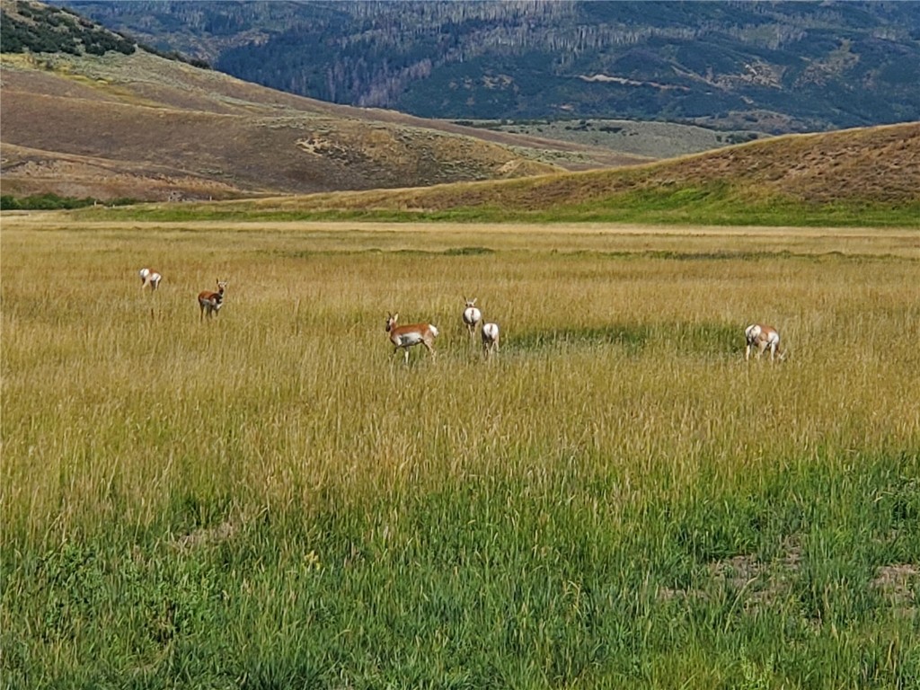 22320 County Road 52E