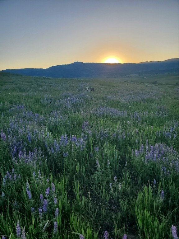 22320 County Road 52E