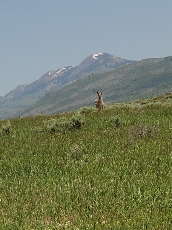 22320 County Road 52E