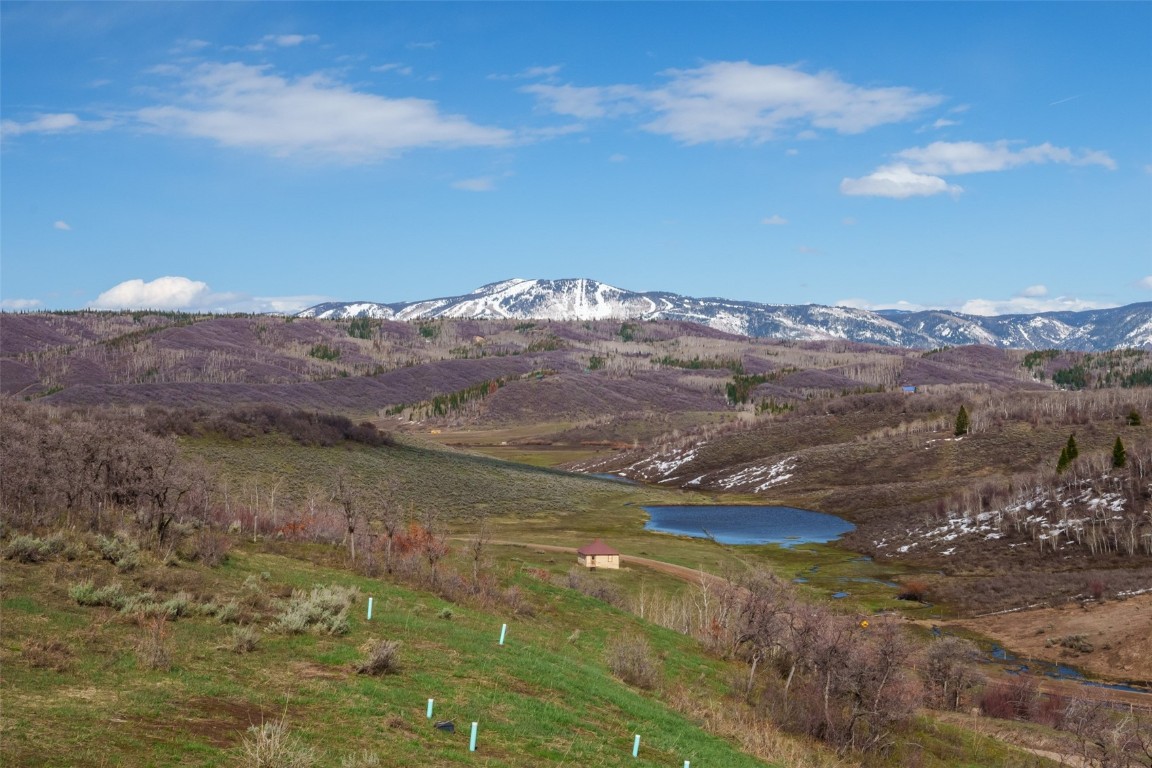 33980 County Road 43A