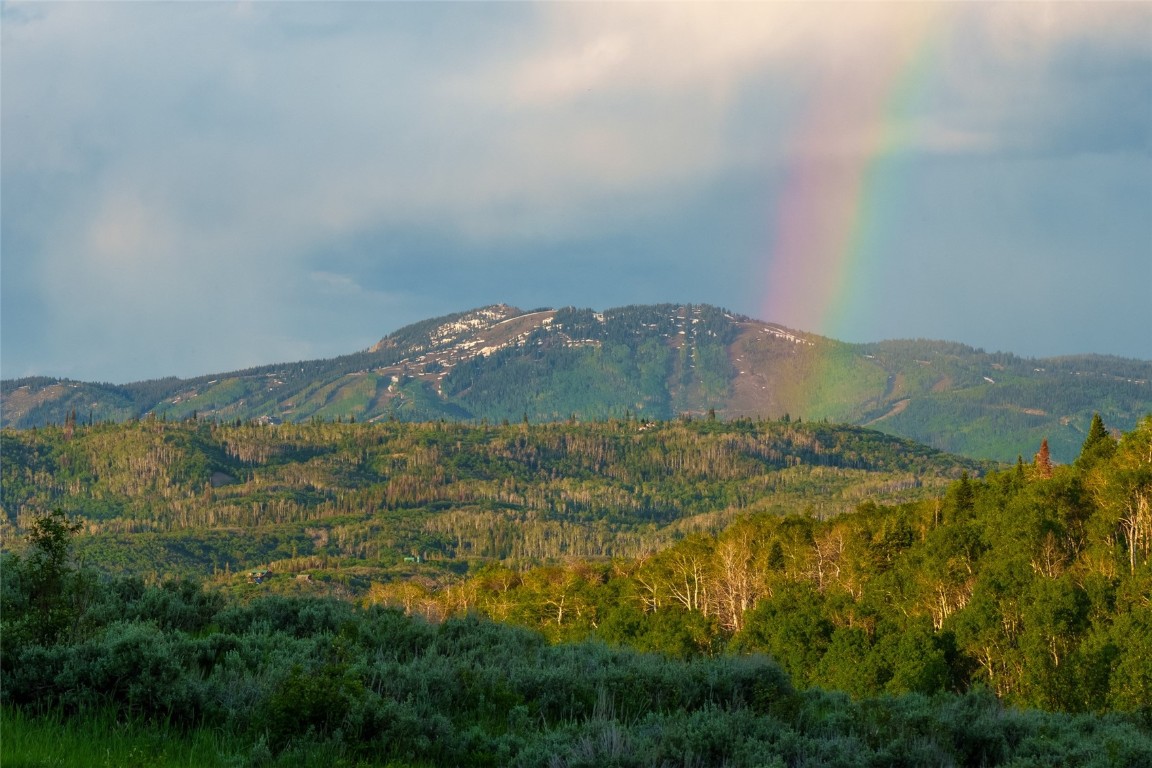 33980 County Road 43A