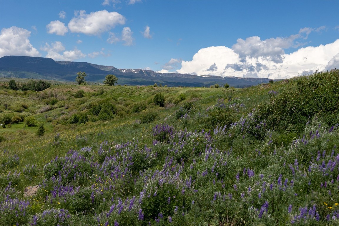 27575 County Road 7C