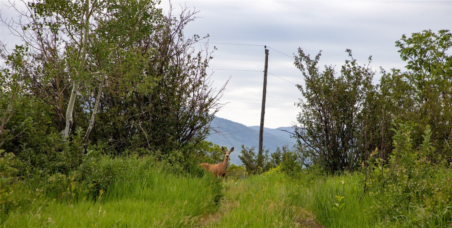 28105 Columbine Ridge