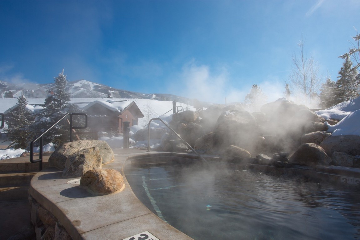 2545 Cattle Kate CIRCLE 3302