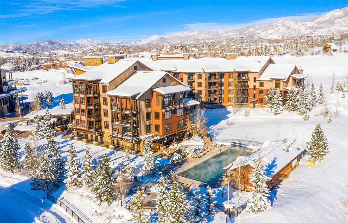 2545 Cattle Kate CIRCLE 3302