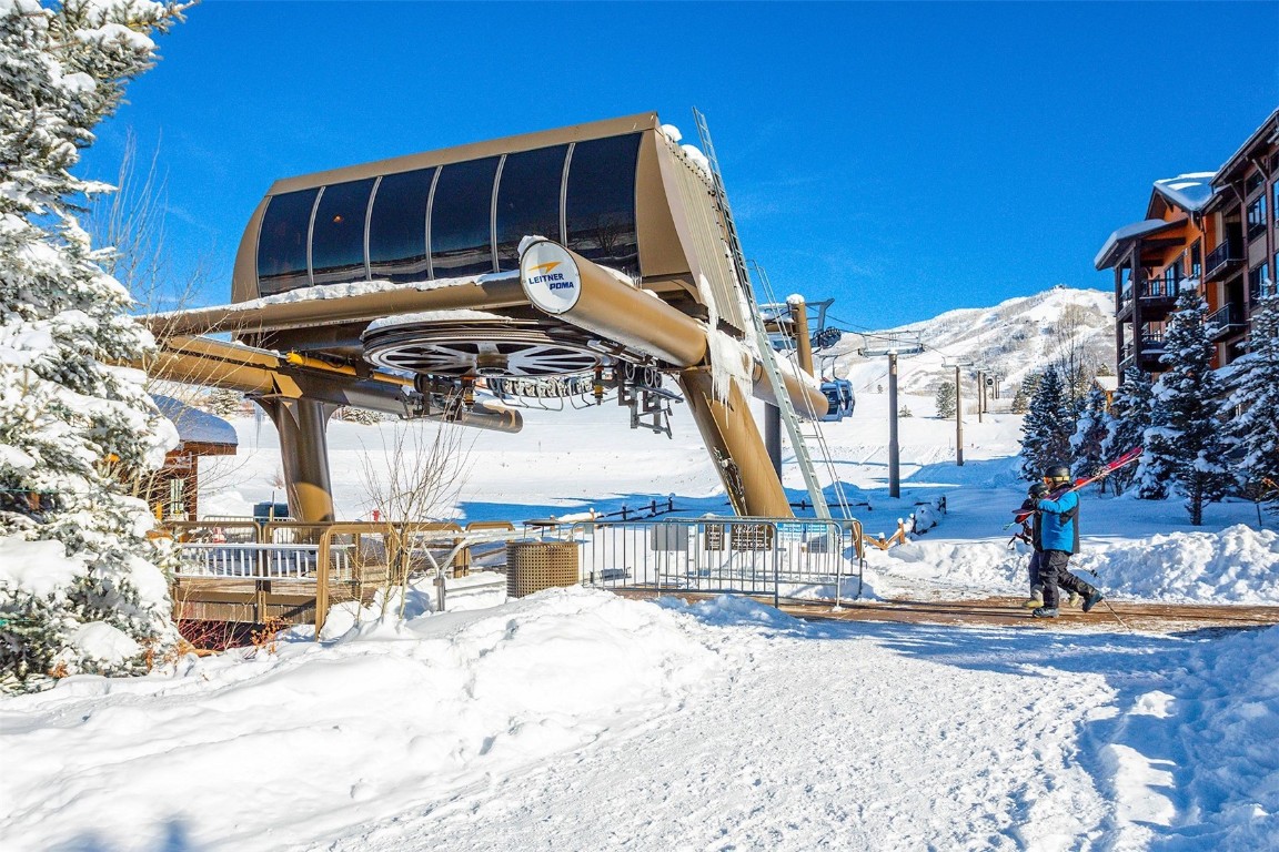 2545 Cattle Kate CIRCLE 3302