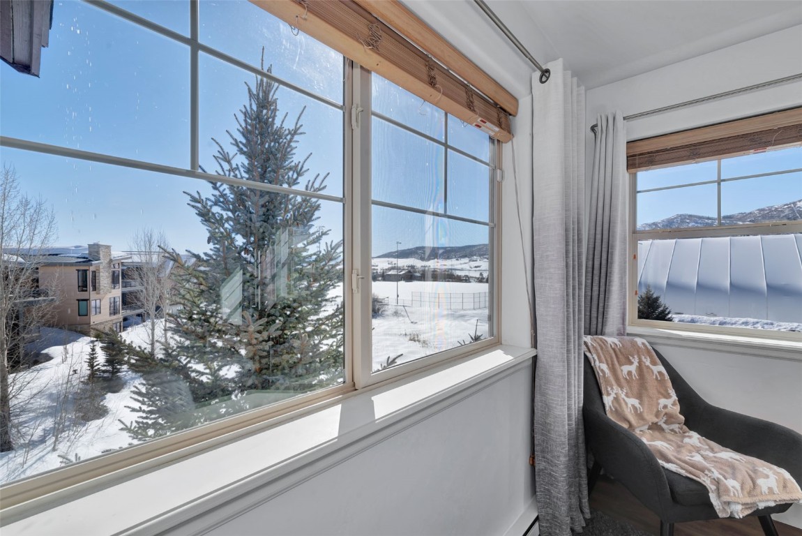 2545 Cattle Kate CIRCLE 3302