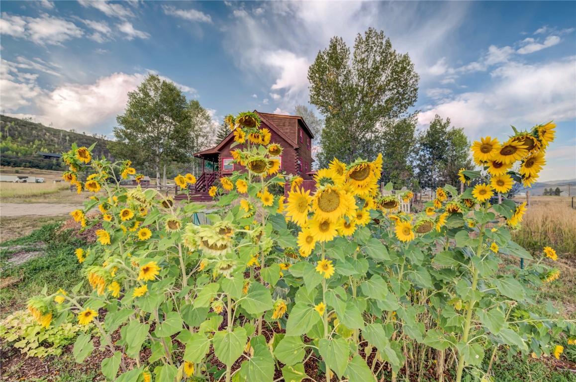 37755 Saddle Mountain LANE