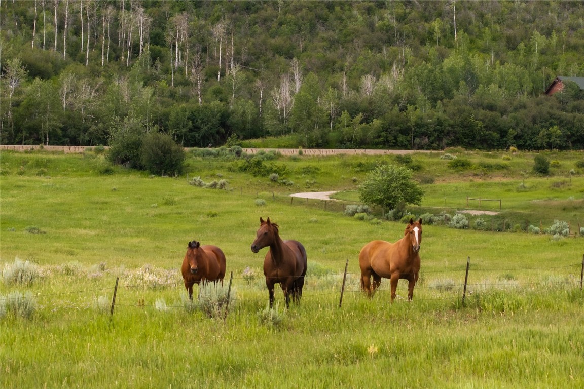 37755 Saddle Mountain LANE