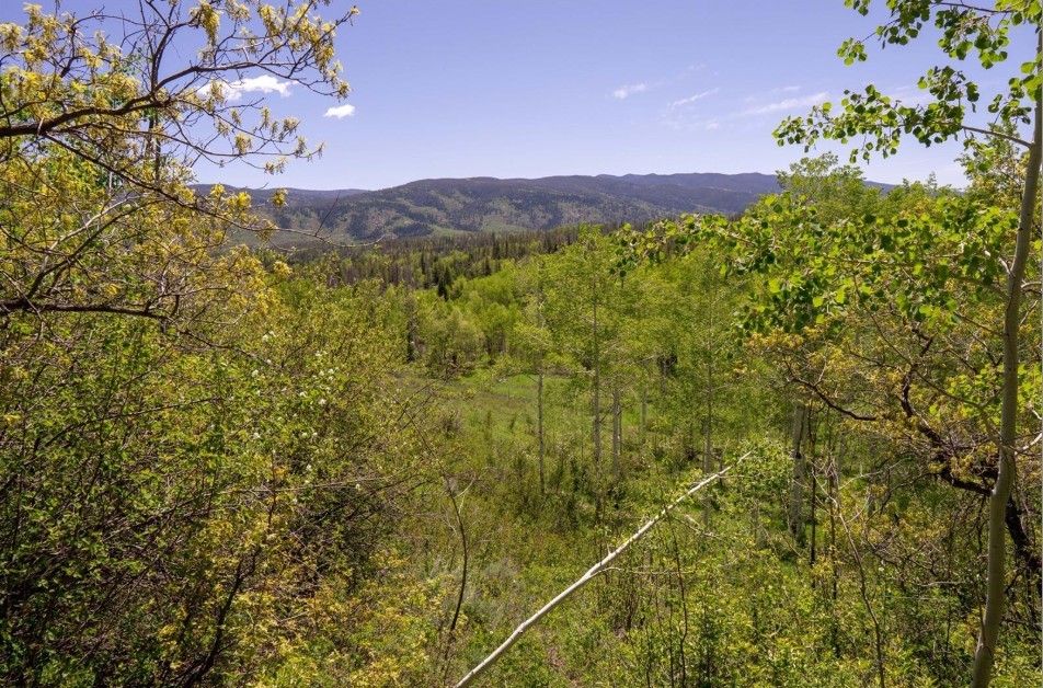 TBD Silver Fox Trail