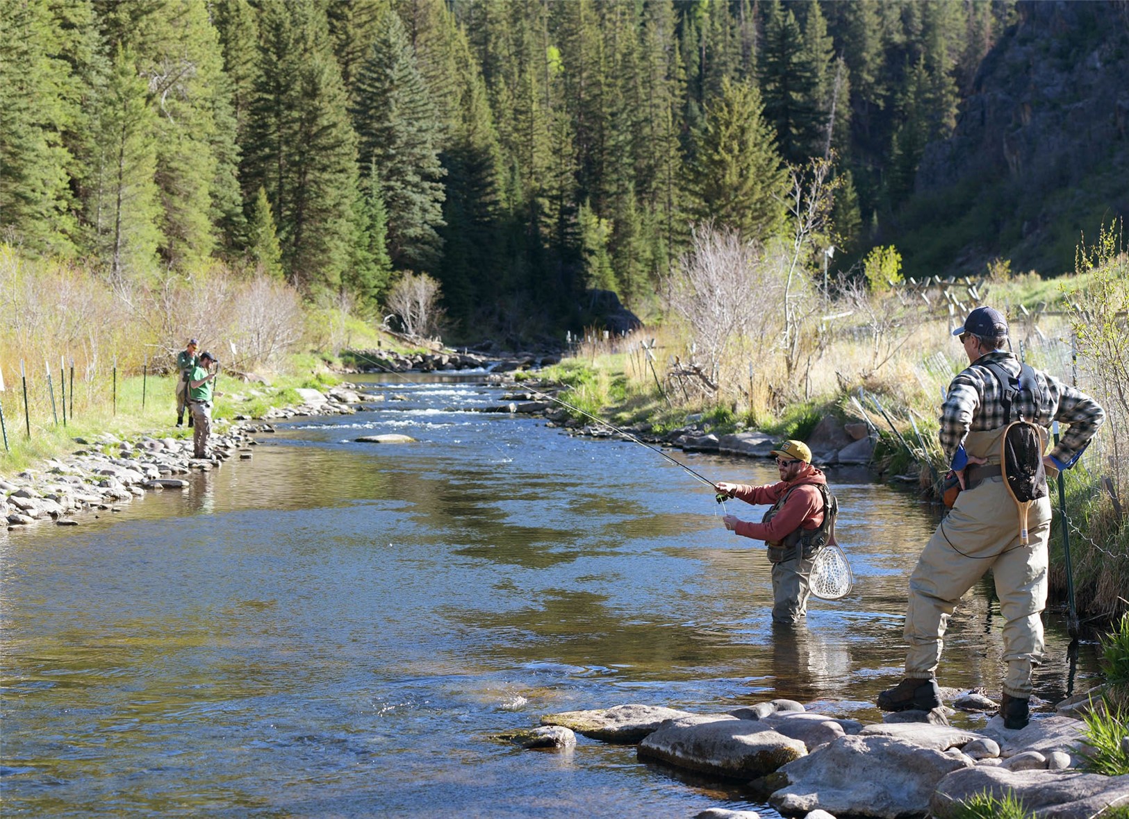 TBD Silver Fox Trail