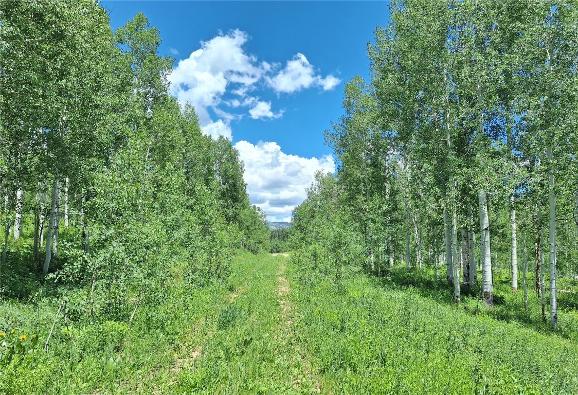 27115 St Louis PLACE