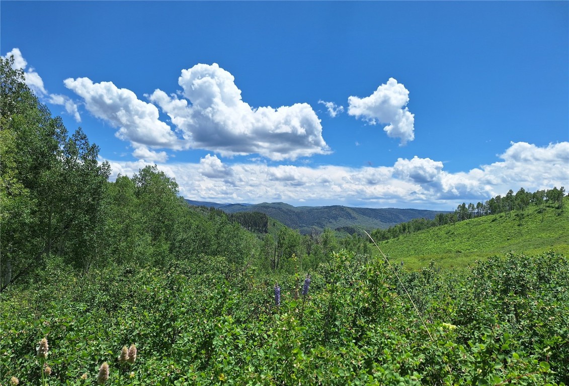 27115 St Louis PLACE