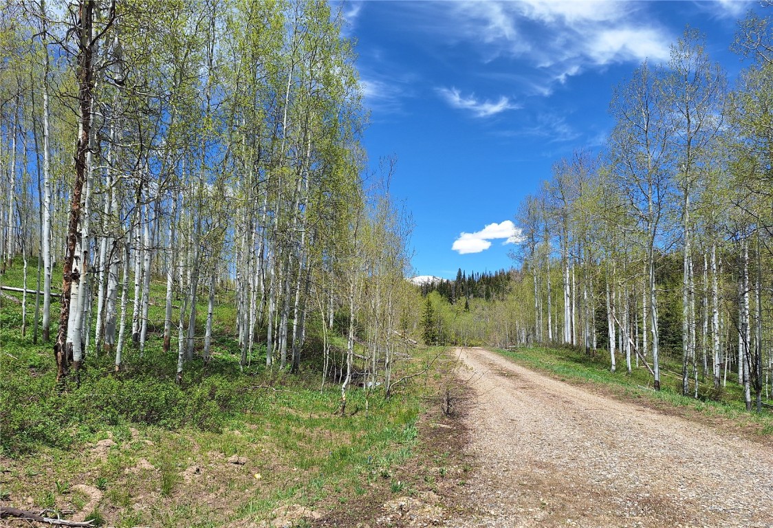 27115 St Louis PLACE