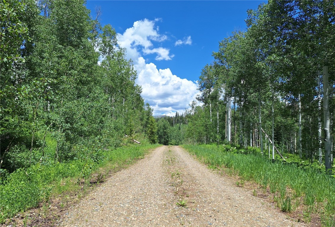 27115 St Louis PLACE