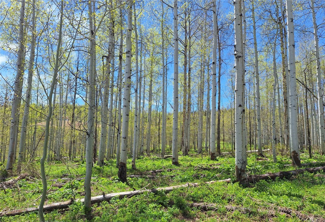 27115 St Louis PLACE