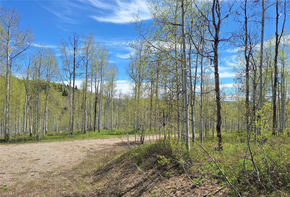 27115 St Louis PLACE