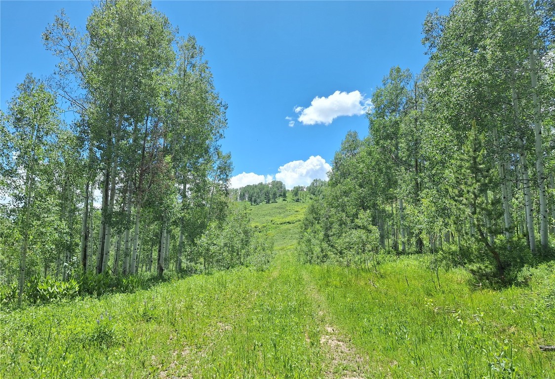 27115 St Louis PLACE