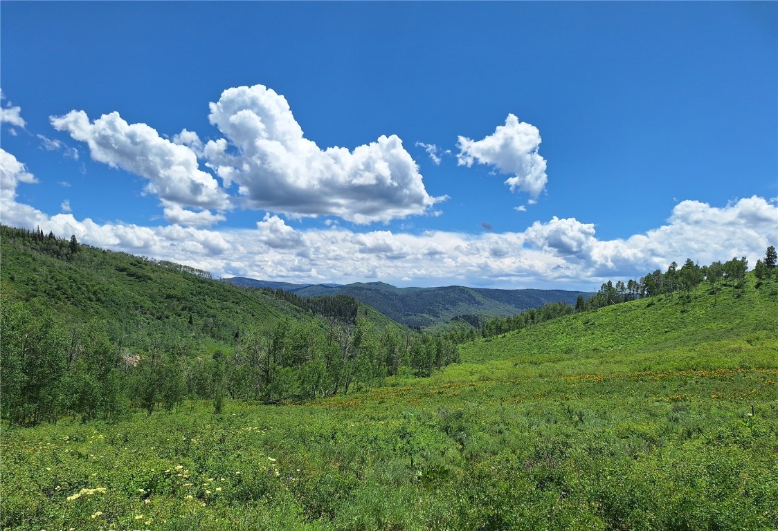 27115 St Louis PLACE