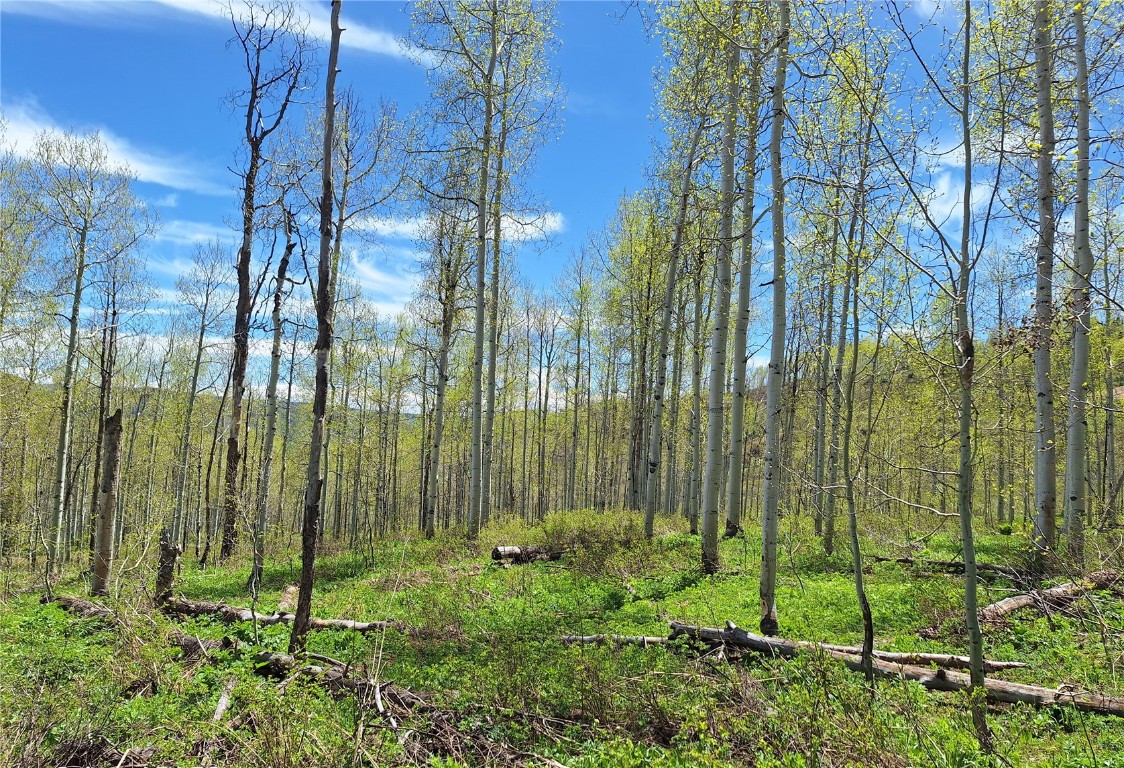 27115 St Louis PLACE