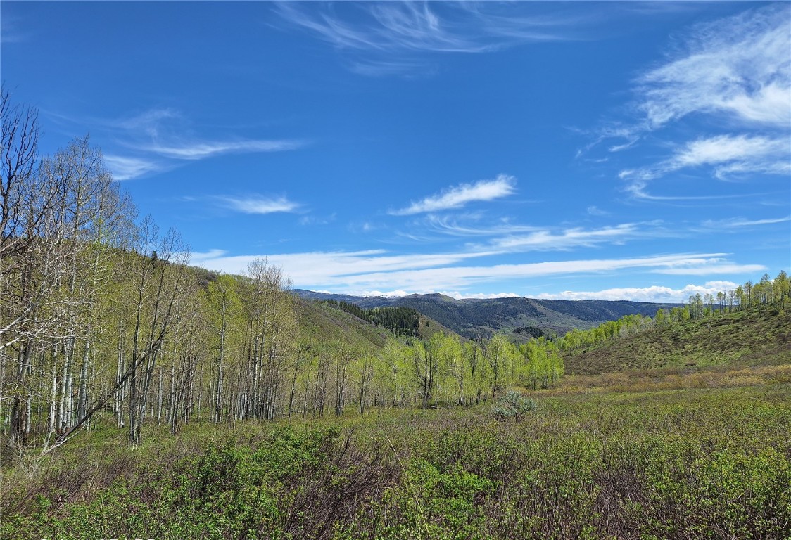 27115 St Louis PLACE