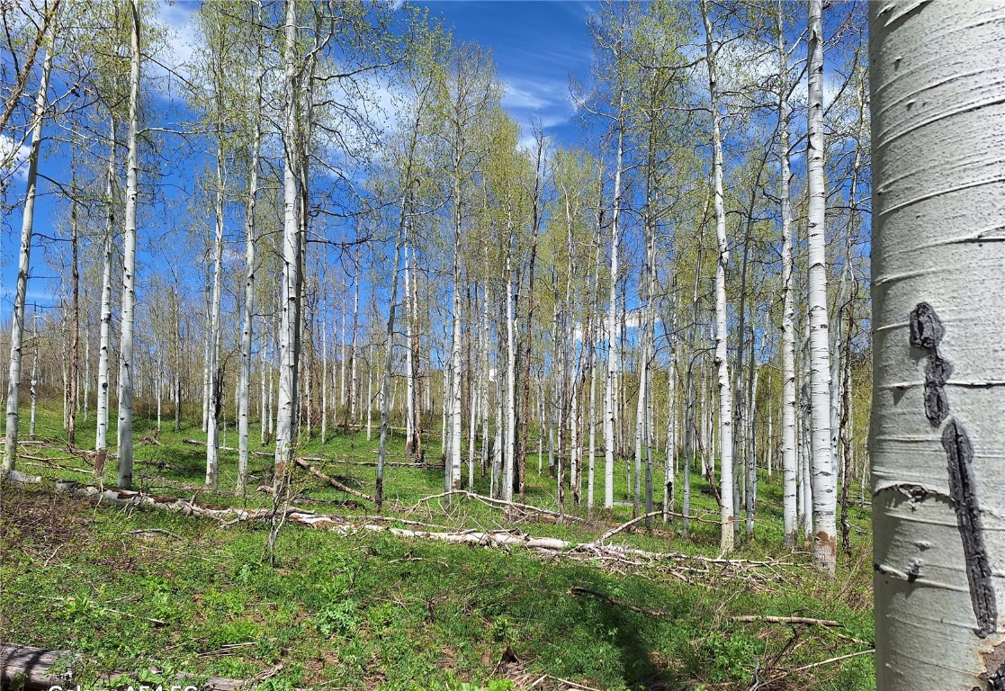 27115 St Louis PLACE